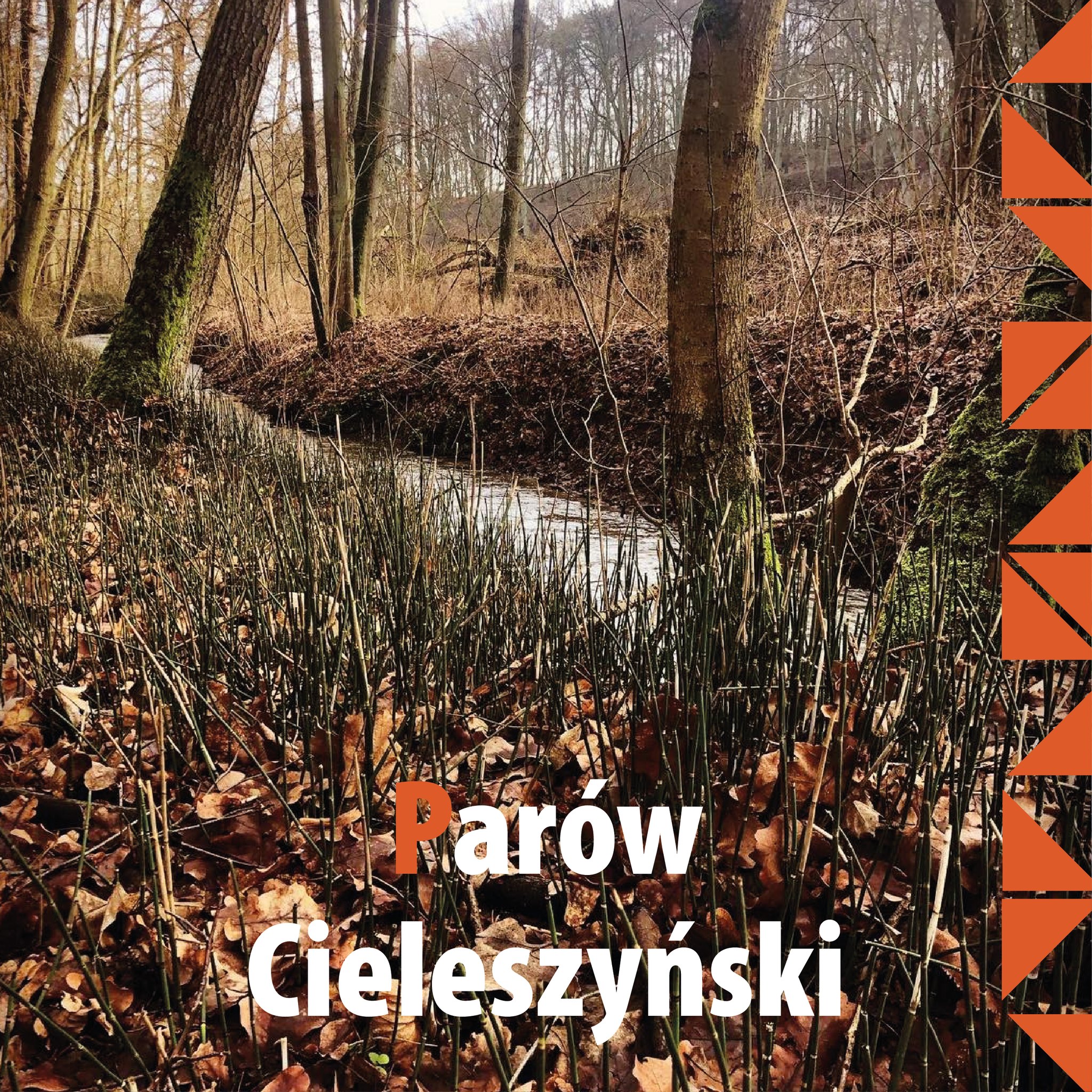 Mistrzostwa Bydgoszczy w biegu na orientacje 2024 Etap 1 - Parów Cieleszyński